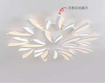 Đèn mâm led ốp trần, cá tính DLAA 003